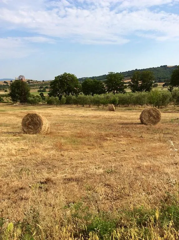 B&B At Home In Maremma Istia d'Ombrone 0*,  Italy