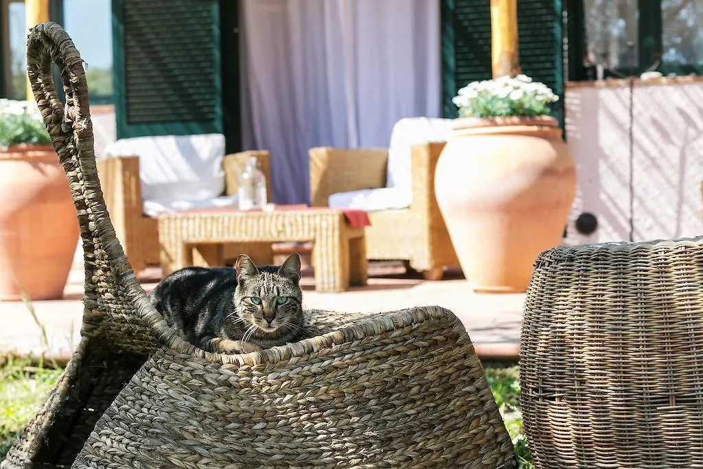 B&B At Home In Maremma Istia d'Ombrone 0*,