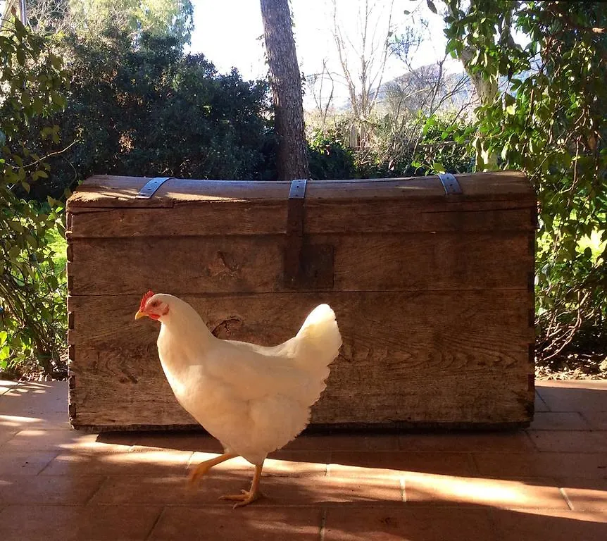 Bed & Breakfast B&B At Home In Maremma Istia d'Ombrone
